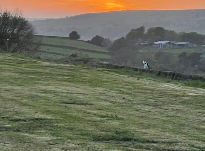 Oakley View Shepherds Hut With Hot Tub Chalet Whitby