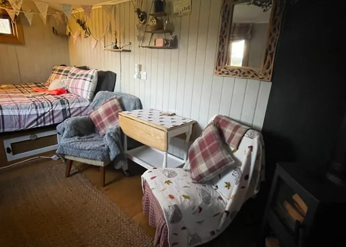 Oakley View Shepherds Hut With Hot Tub Chalet Whitby