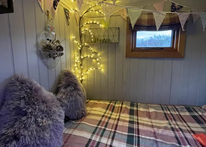 Oakley View Shepherds Hut With Hot Tub Whitby